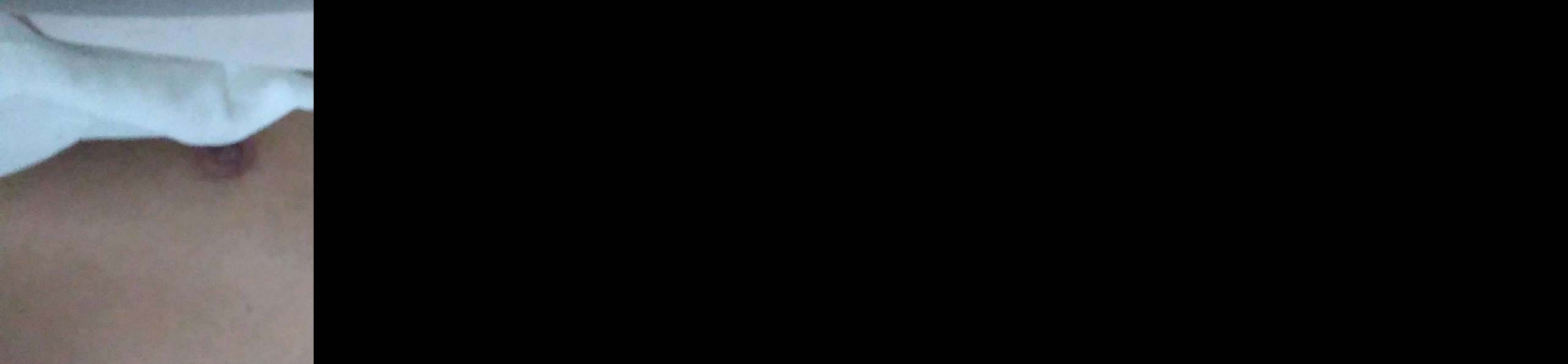 loverfans Koala&panda profile banner