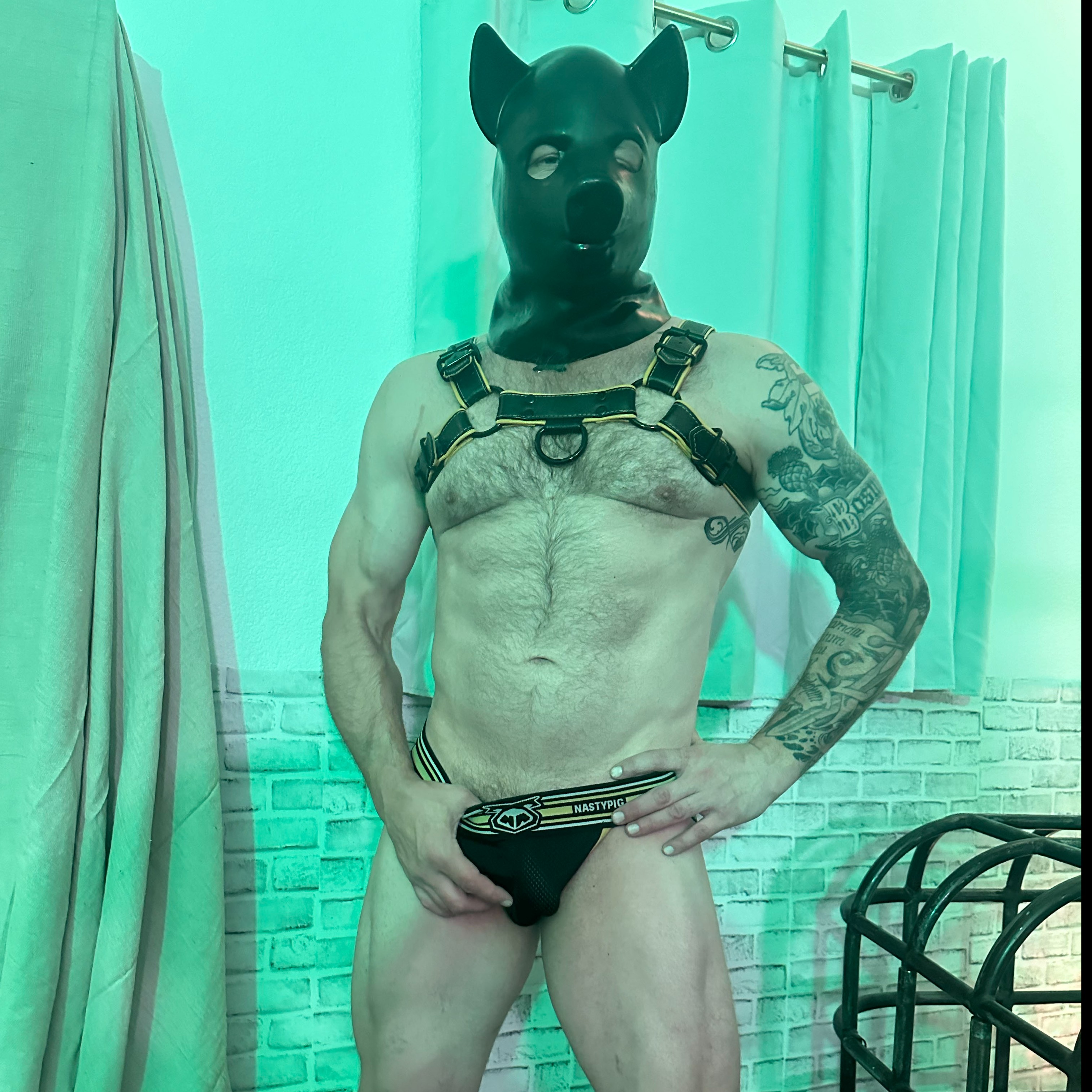 loverfans Alphasubxxx profile photo. Alphasubxxx 5