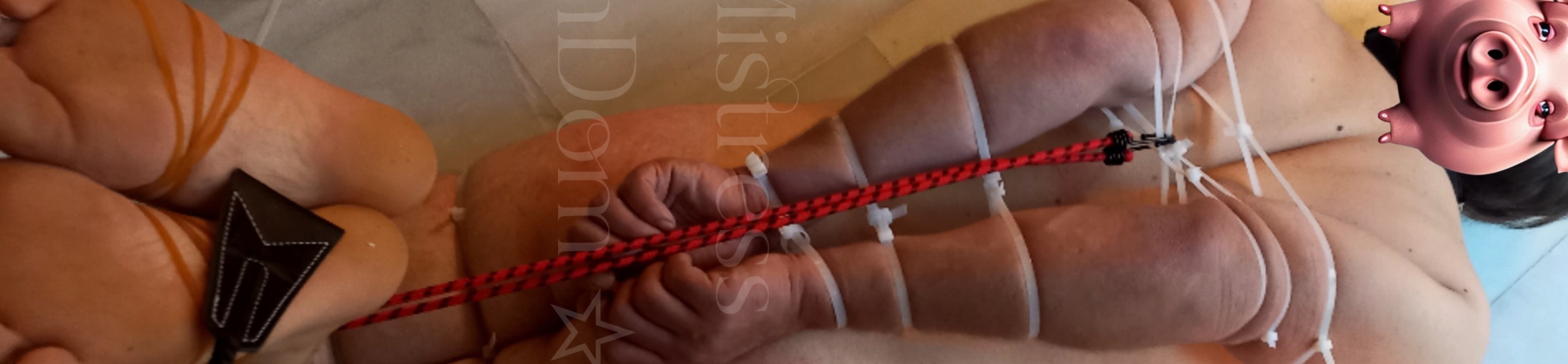 loverfans Mistress Fayna profile banner