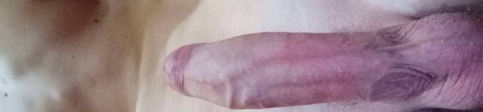 loverfans HiviY profile banner