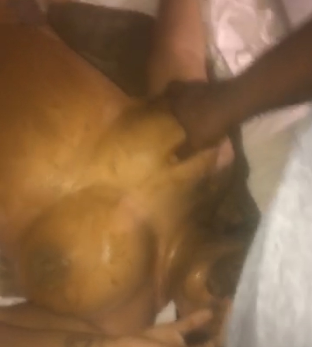 loverfans HunniButtaGoddess profile banner