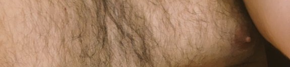 loverfans JoshuaBear profile banner