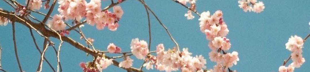 loverfans Lilitapans profile banner