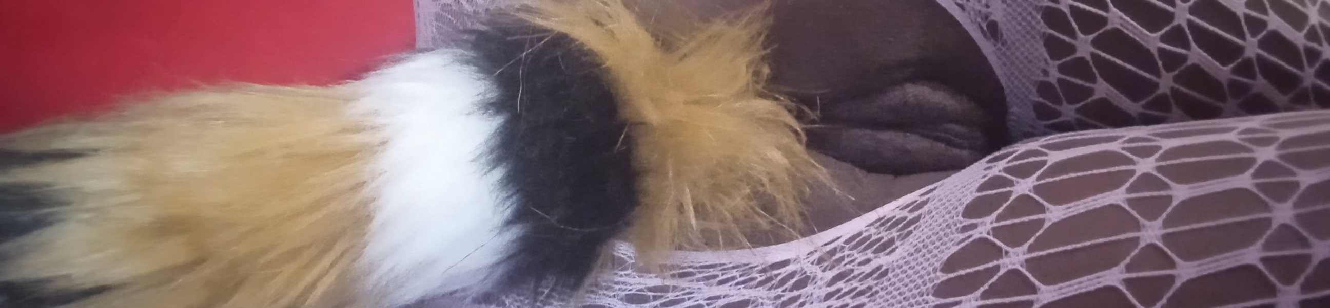 loverfans Bellalu@Me profile banner