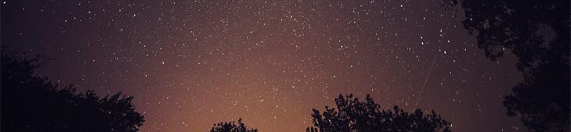 loverfans Phaeseed profile banner