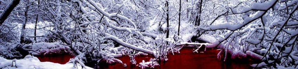 loverfans Doncella de hielo profile banner