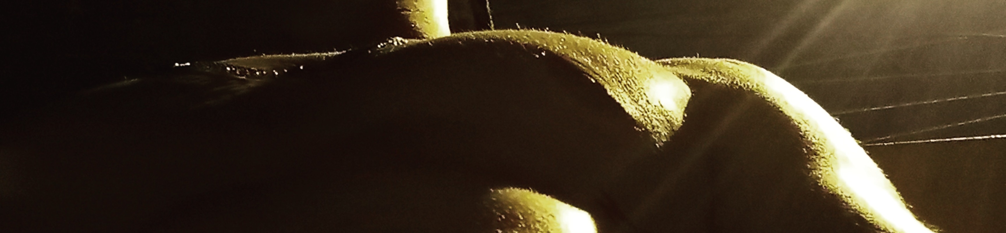 loverfans Contrastshape profile banner