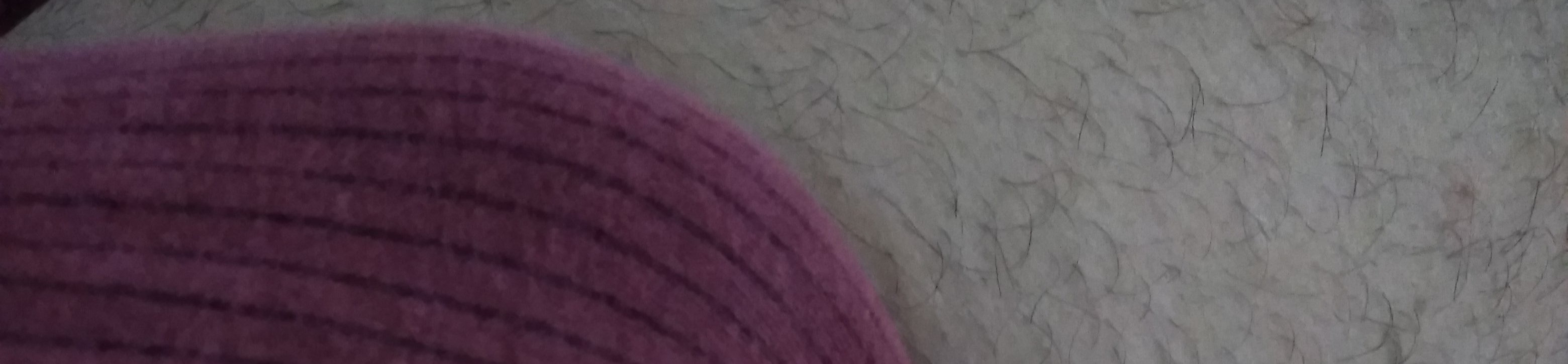 loverfans Bluky profile banner