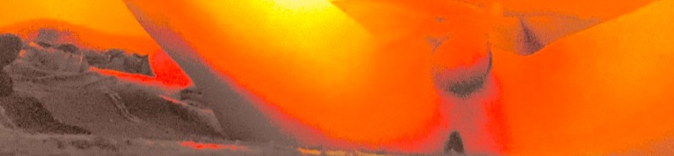 loverfans ZazaStarseed profile banner