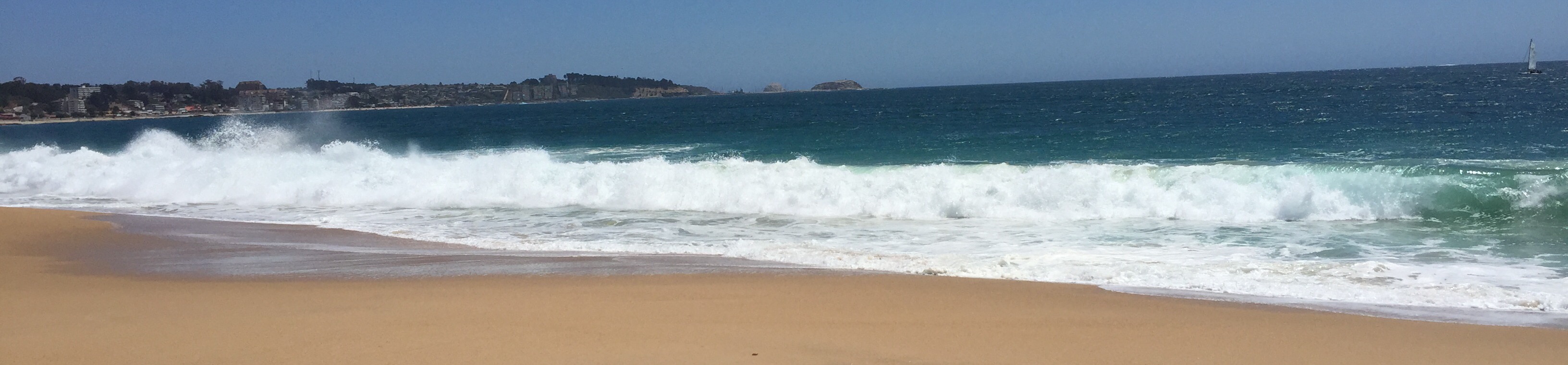 loverfans Amapola profile banner