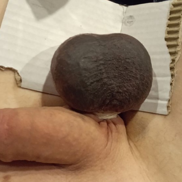 loverfans ballbustingplay profile photo. ballbustingplay 1