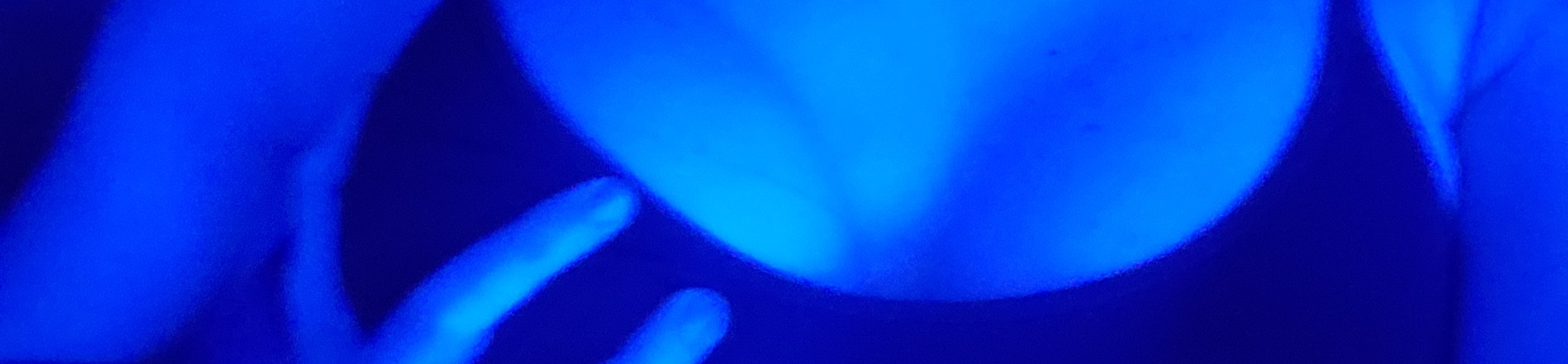 loverfans curlylittlelady profile banner