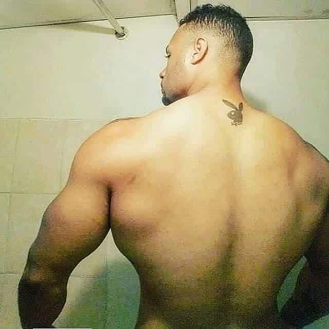 loverfans elvengadorrd profile banner