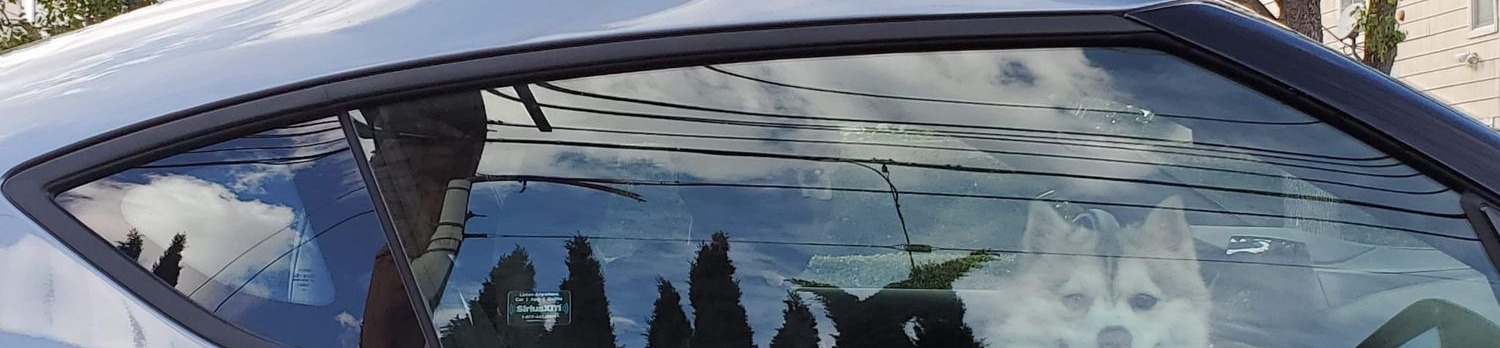 loverfans Harriet Sugarcookie profile banner