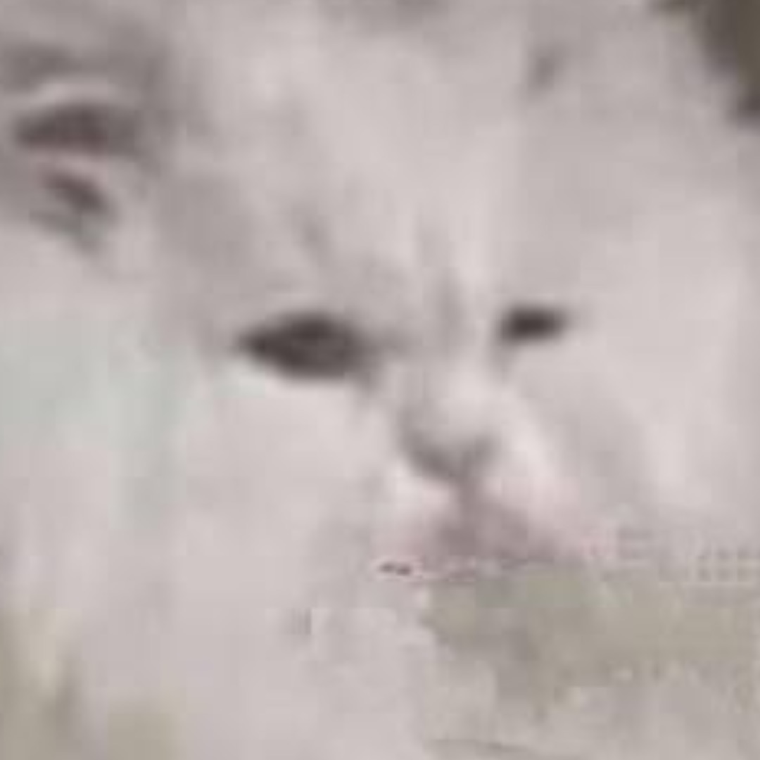 loverfans La Beya profile photo. La Beya 15