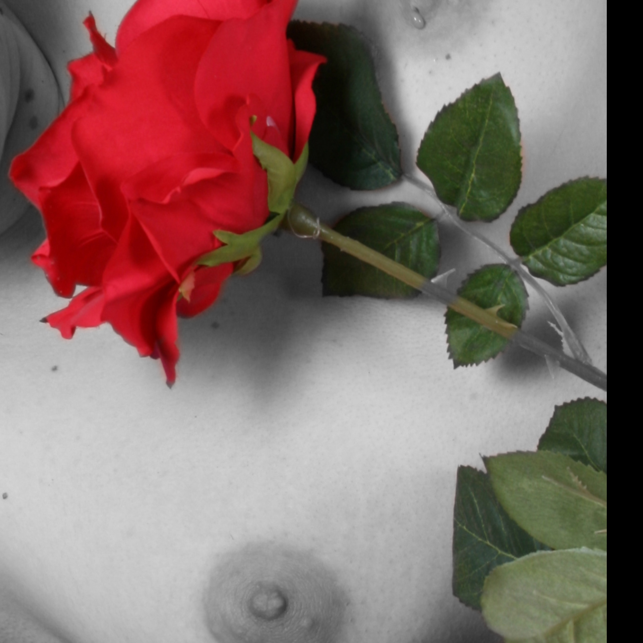 loverfans noirchan profile photo. noirchan 3