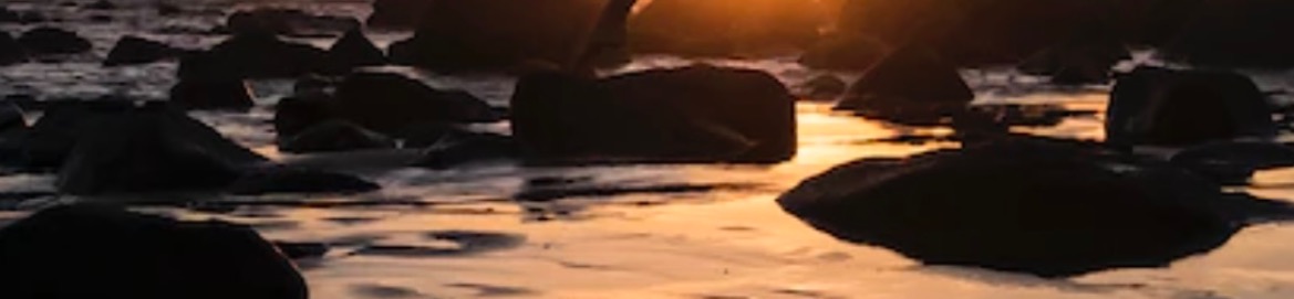 loverfans Reign profile banner